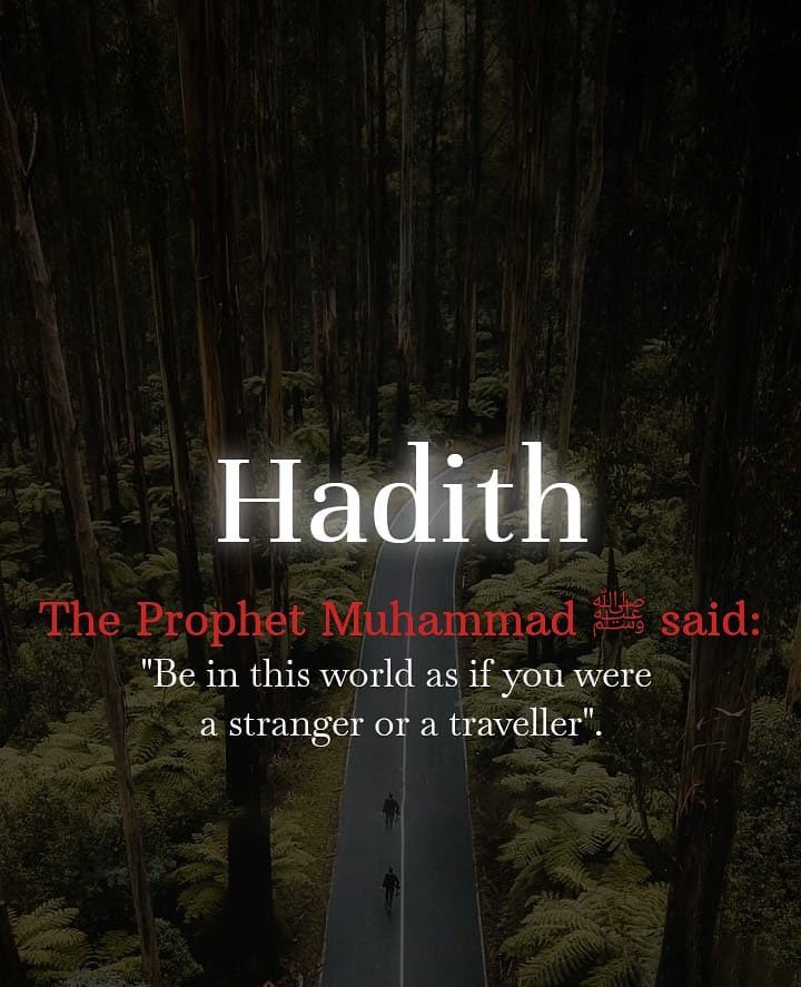 Hadith Studies